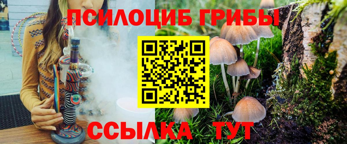 Галлюциногенные грибы Psilocybe Арзамас